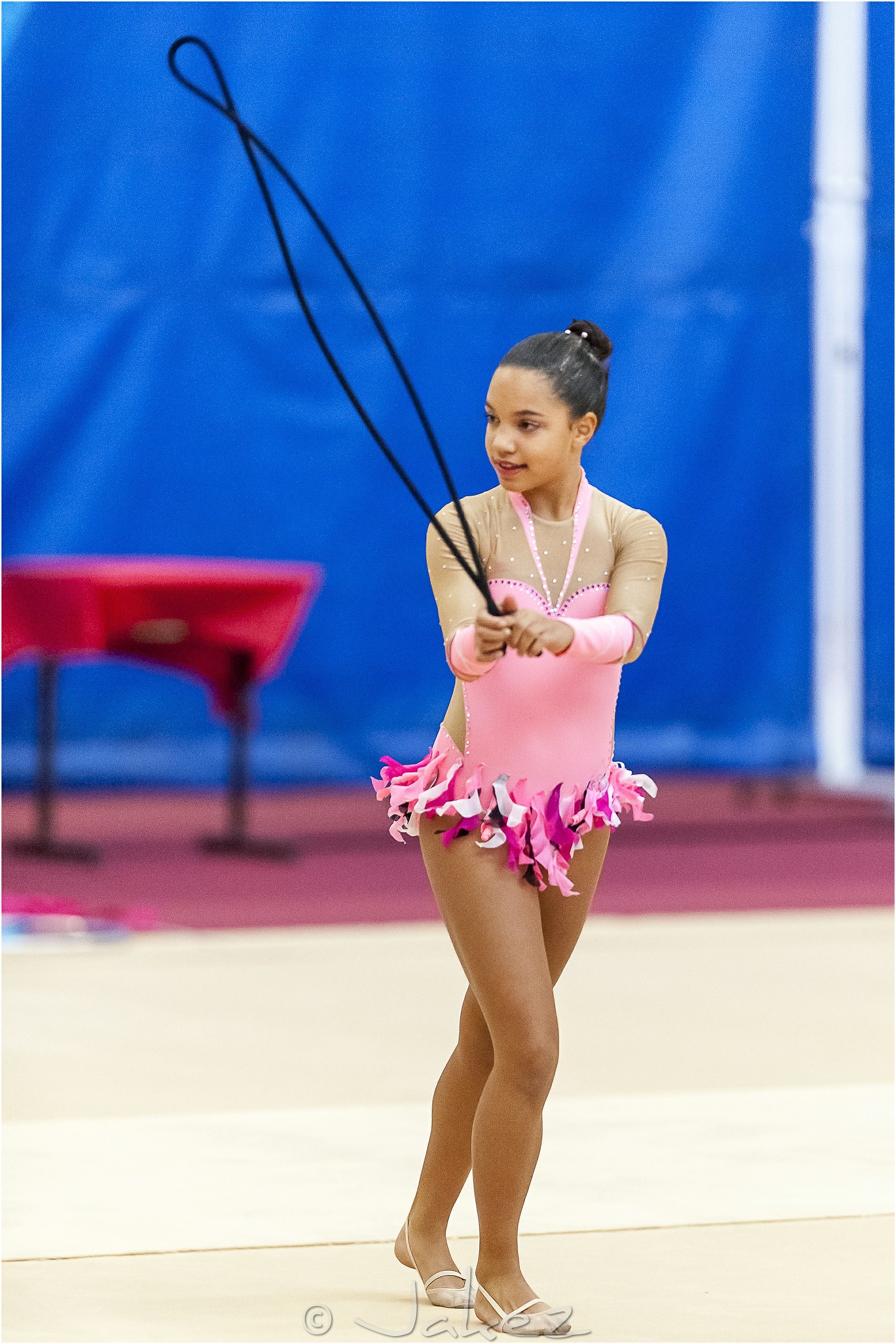 R1-003-19-MAMAROT Nolwenn