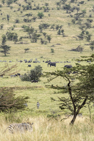 0192-tanzanie-2022.jpg