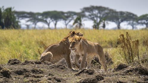 0119-tanzanie-2022.jpg