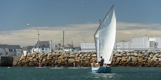 misainier-015-cnpa-lesconil.jpg