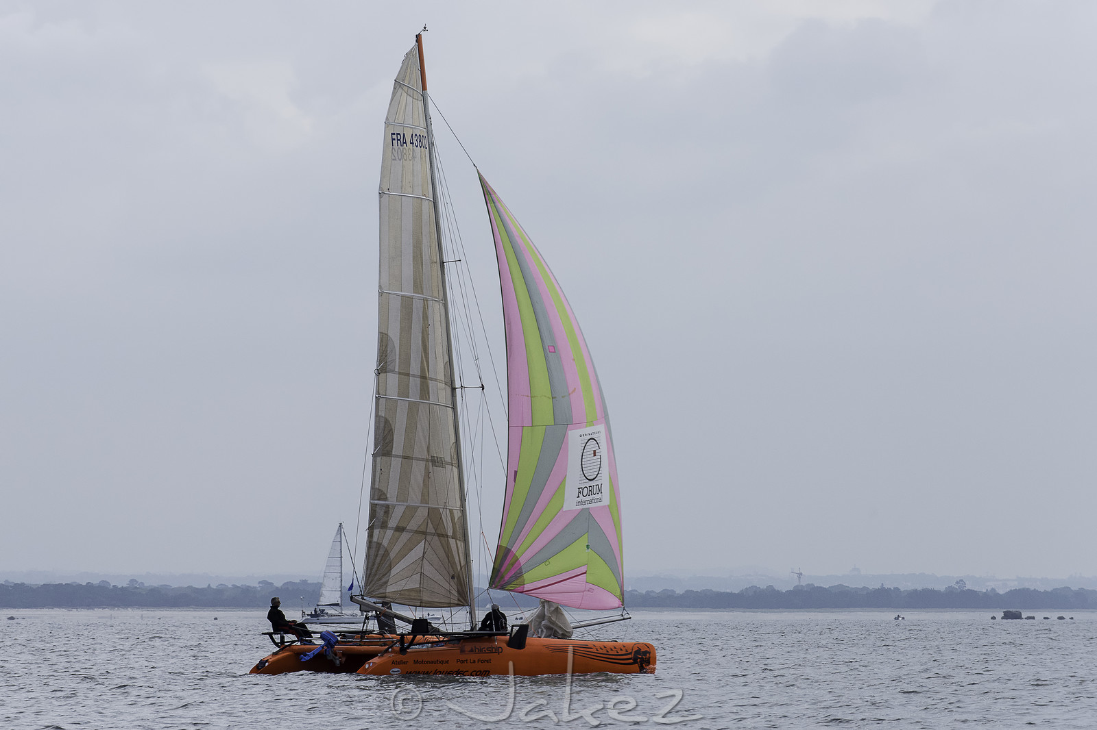 33-multyco-2016.jpg