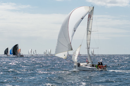 094-duo-concarneau.jpg