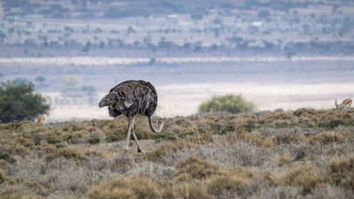 0212-tanzanie-2022.jpg