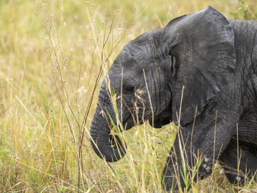 0183-tanzanie-2022.jpg
