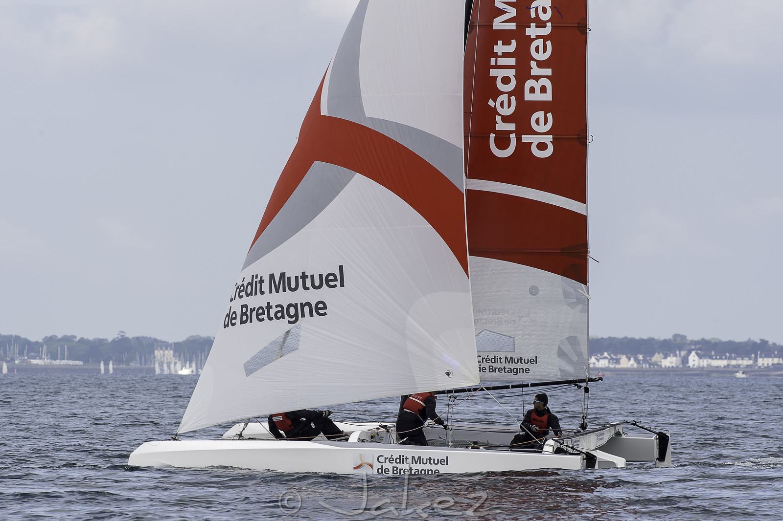 12-multyco-2016.jpg