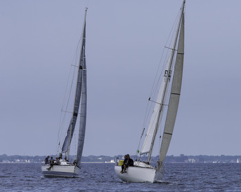 225-osiris-irc-samedi-.jpg