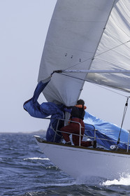 157.jpg