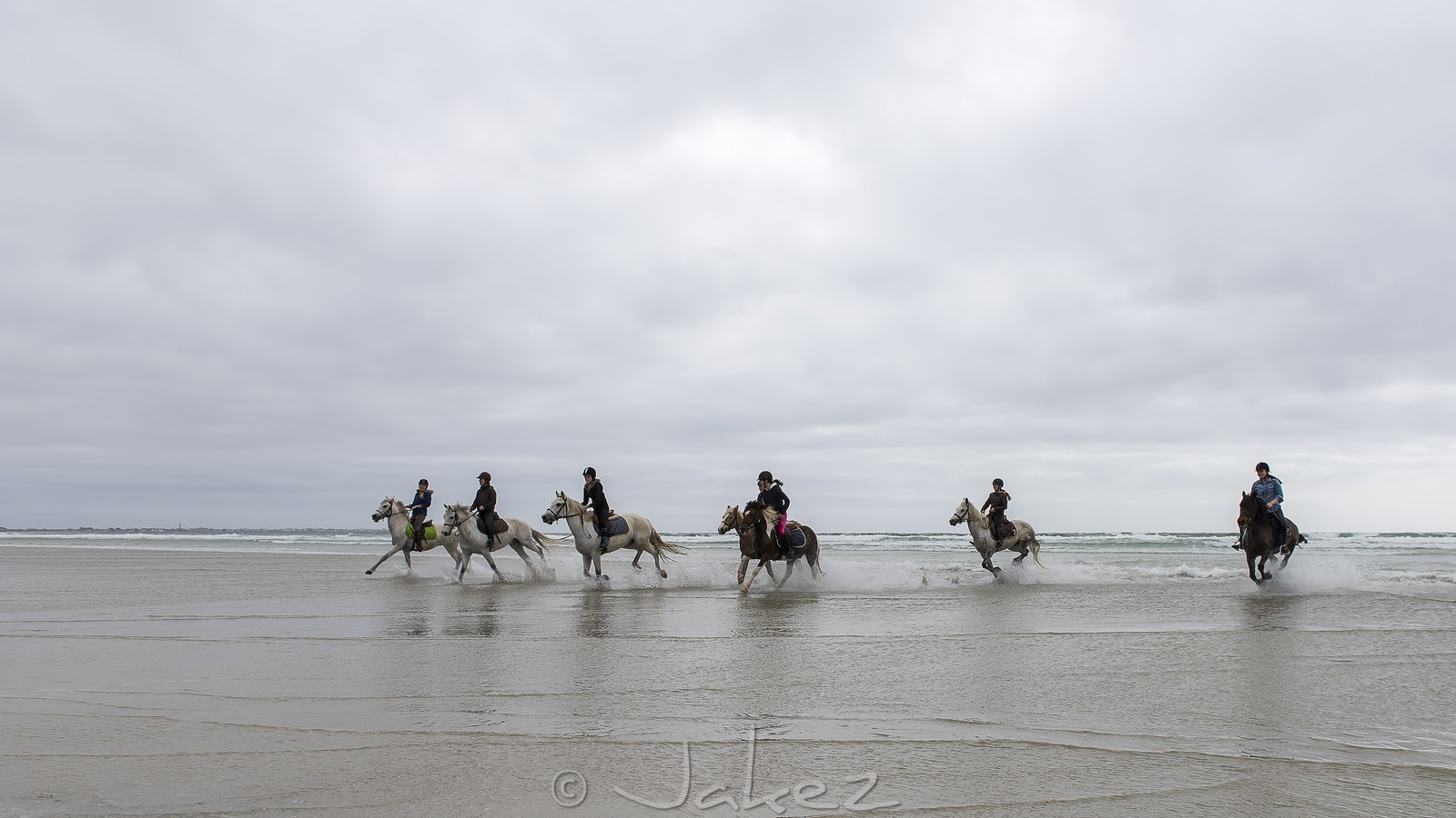 018-chevaux-a-tronoen.jpg