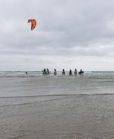 014-chevaux-a-tronoen.jpg