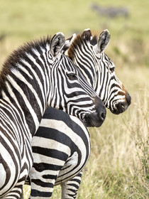 0191-tanzanie-2022.jpg