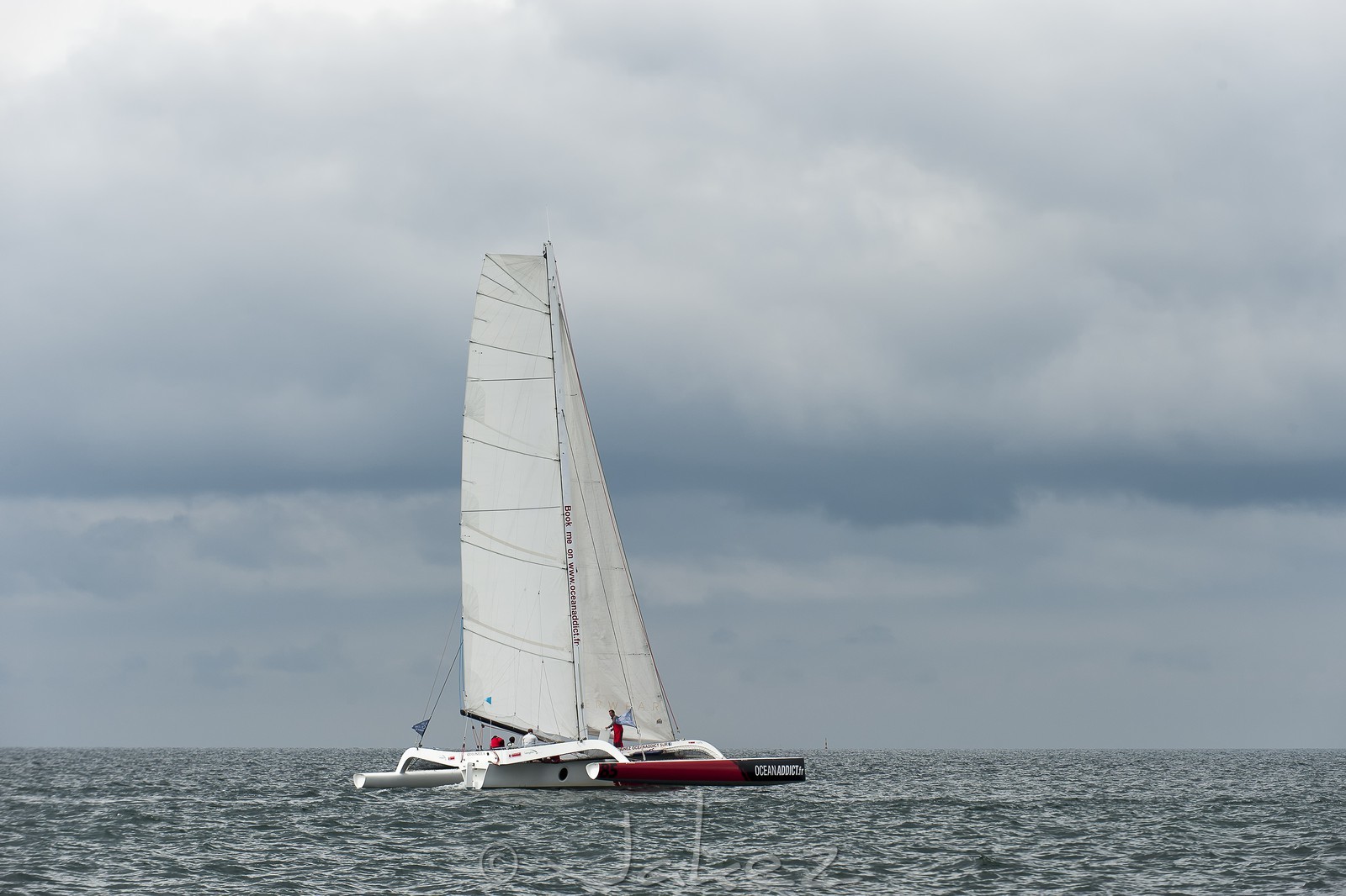 036-multyco-2014.jpg