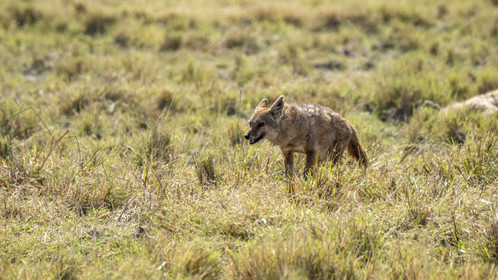 0064-tanzanie-2022.jpg