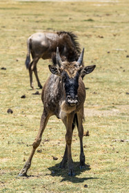 0084-tanzanie-2022.jpg