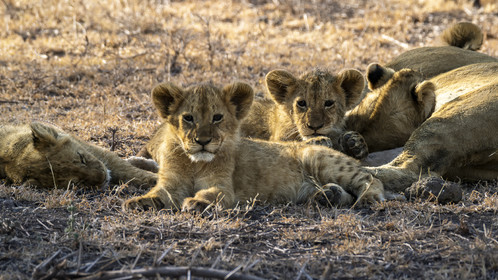 0052-tanzanie-2022.jpg