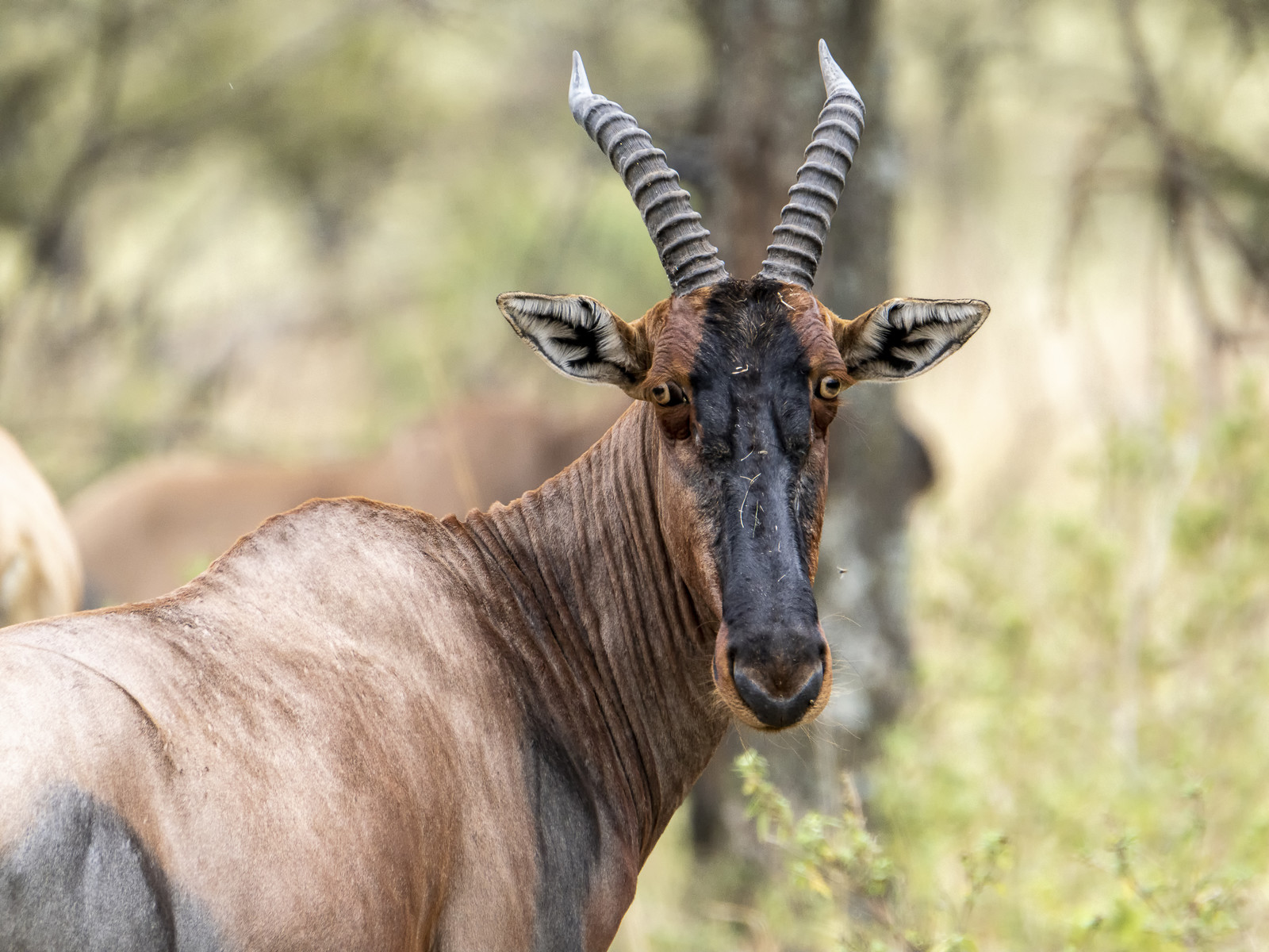 0195-tanzanie-2022.jpg