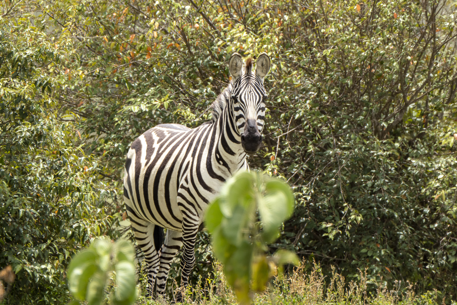0201-tanzanie-2022.jpg