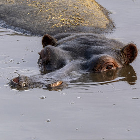 0099-tanzanie-2022.jpg