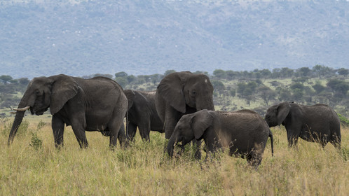 0190-tanzanie-2022.jpg
