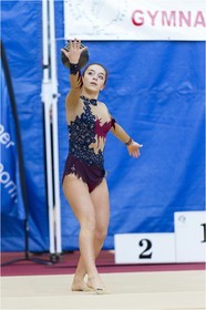 R2-08-03-FAUCON Aurore