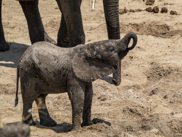 0027-tanzanie-2022.jpg