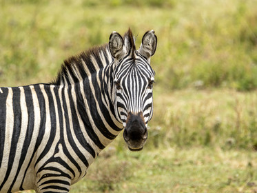 0203-tanzanie-2022.jpg