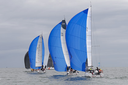 293-spi-of-2025.jpg