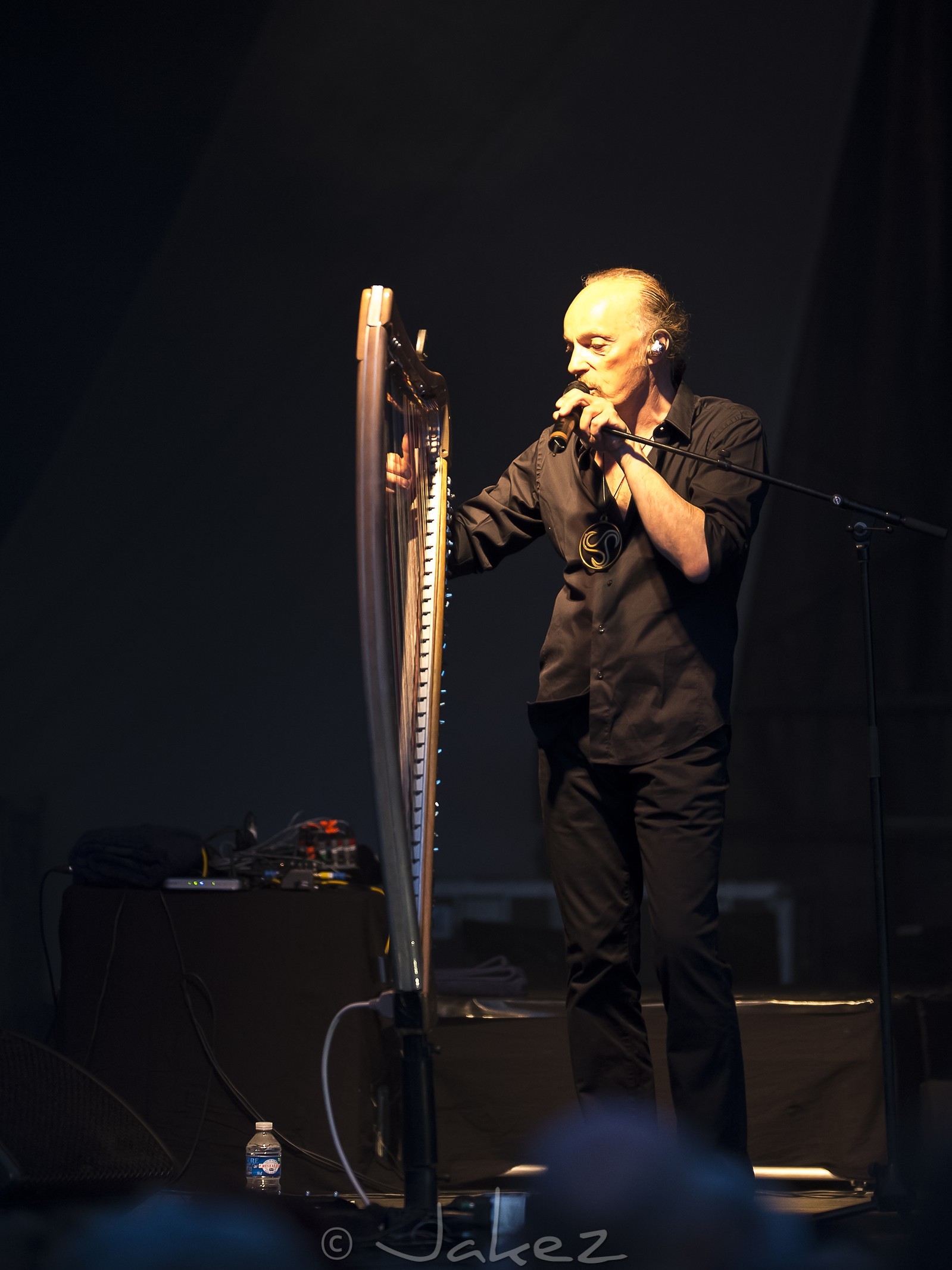 20-Alan Stivell