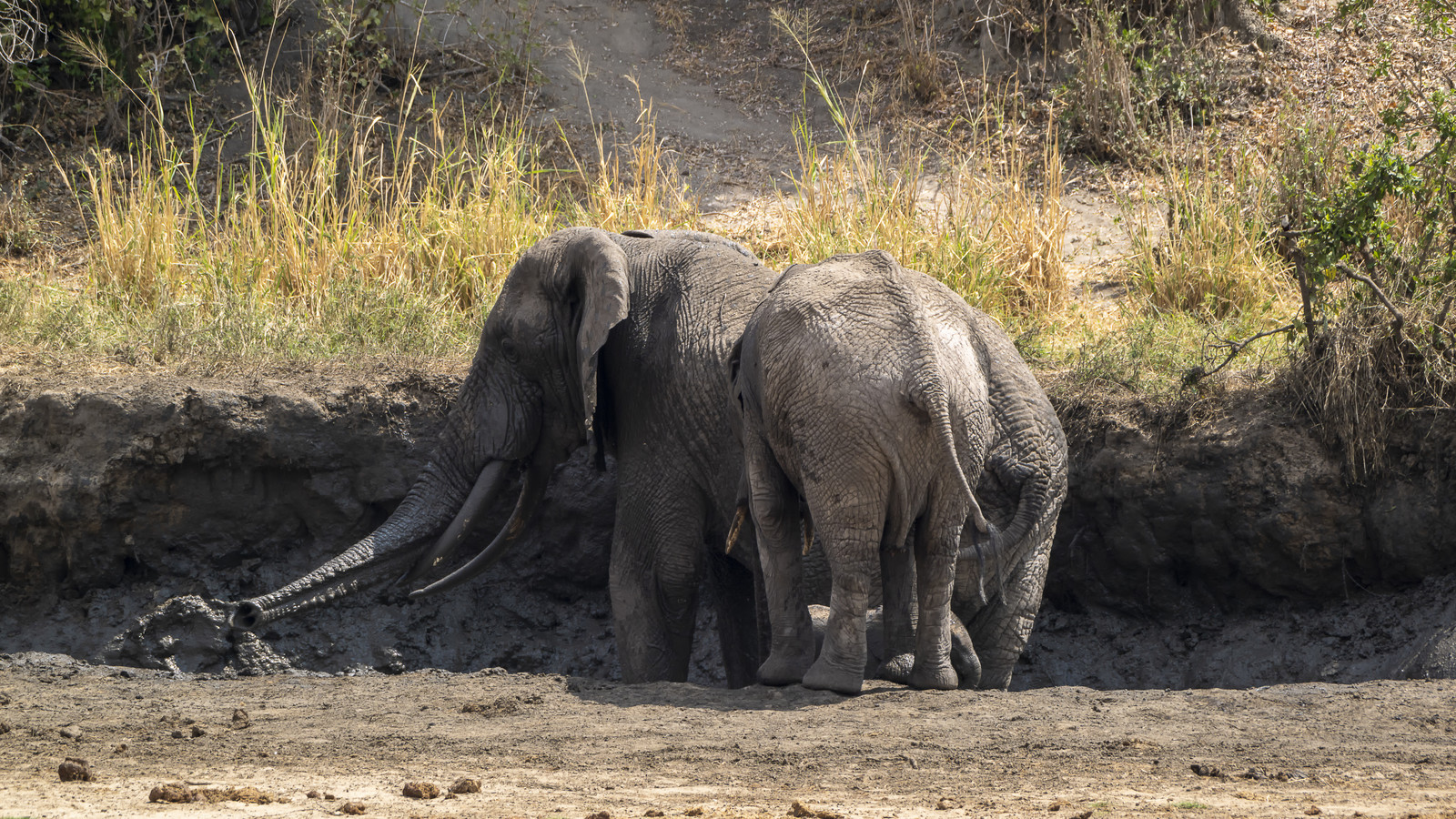0024-tanzanie-2022.jpg
