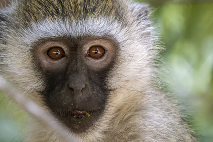 0218-tanzanie-2022.jpg