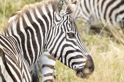 0194-tanzanie-2022.jpg