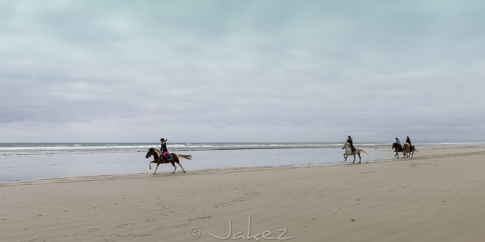 004-chevaux-a-tronoen.jpg
