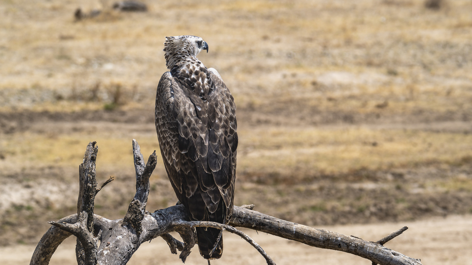 0032-tanzanie-2022.jpg