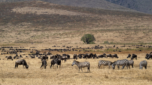 0067-tanzanie-2022.jpg