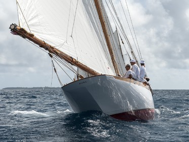 CAN2012-0252