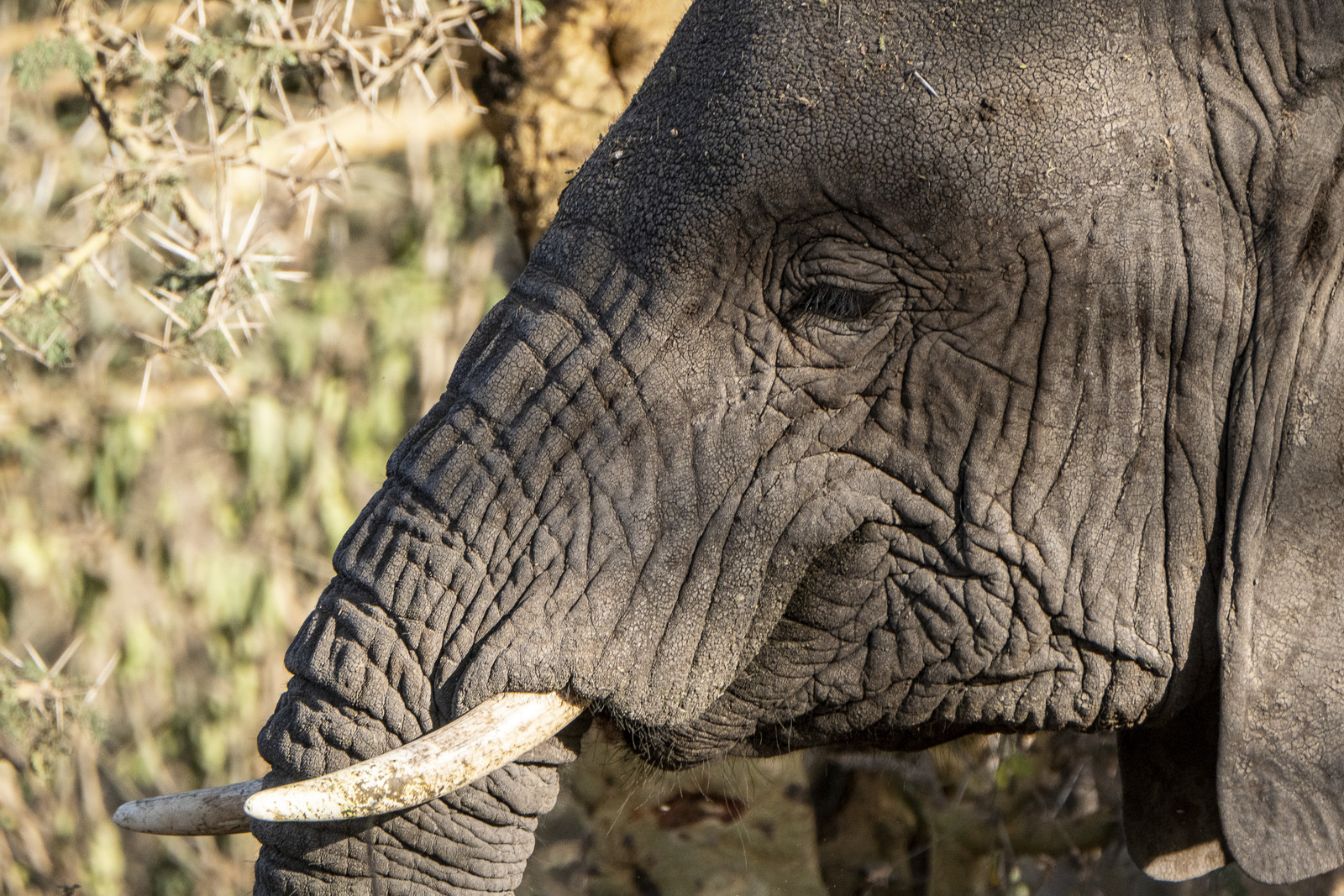 0049-tanzanie-2022.jpg