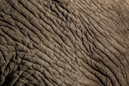 0048-tanzanie-2022.jpg