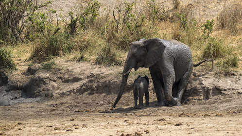 0023-tanzanie-2022.jpg