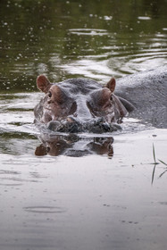 0138-tanzanie-2022.jpg