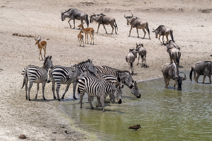 0040-tanzanie-2022.jpg