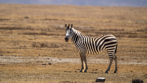 0091-tanzanie-2022.jpg