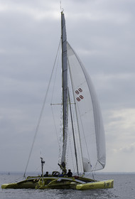 43-multyco-2016.jpg