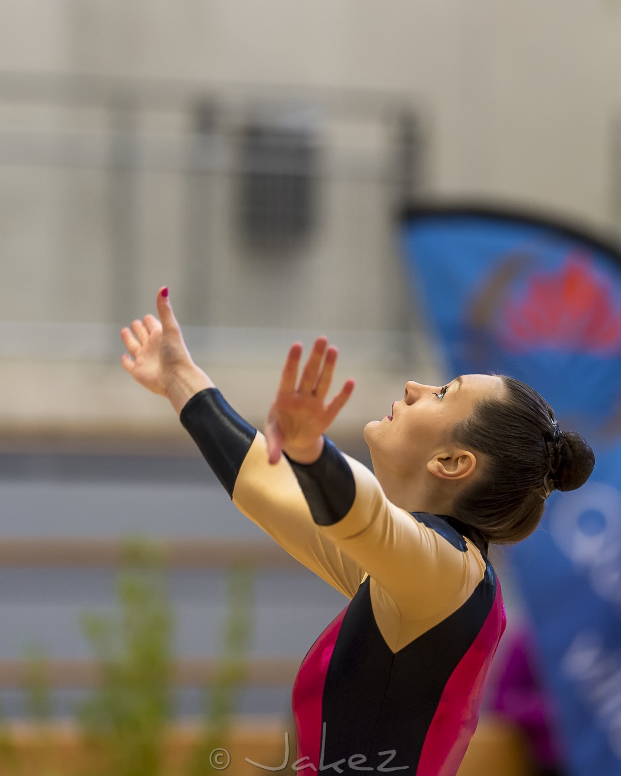 006-GRS Championnat Régional (Mars 2015)