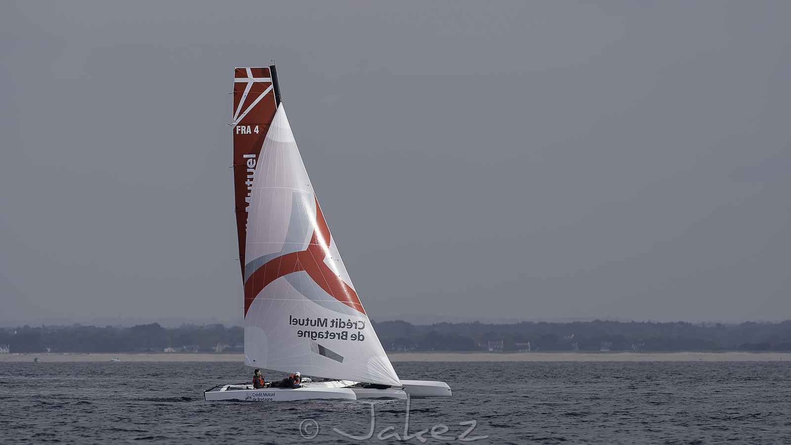 54-multyco-2016.jpg