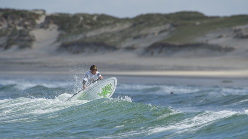 213-Surf