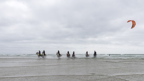 017-chevaux-a-tronoen.jpg