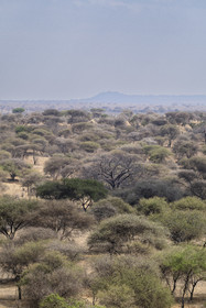 0015-tanzanie-2022.jpg