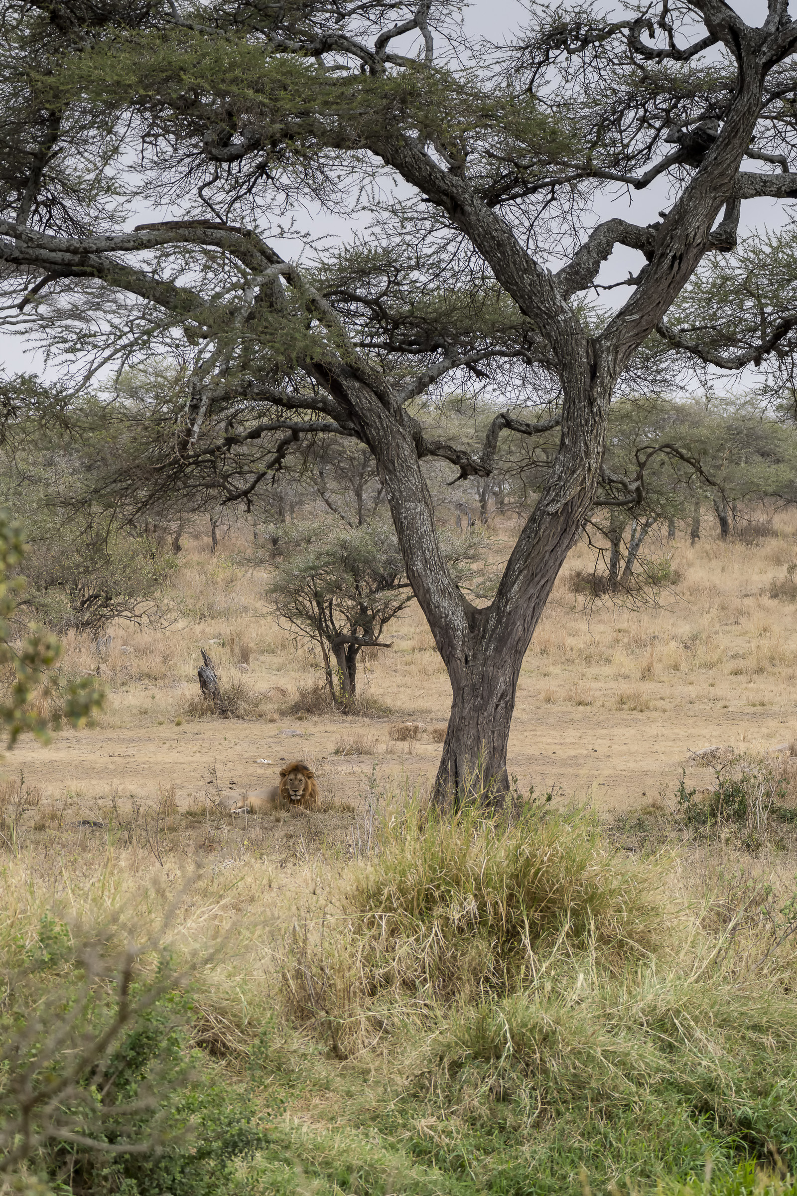 0110-tanzanie-2022.jpg