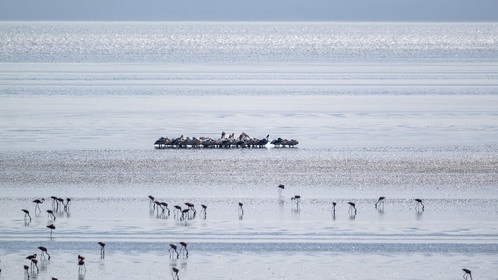 0247-tanzanie-2022.jpg