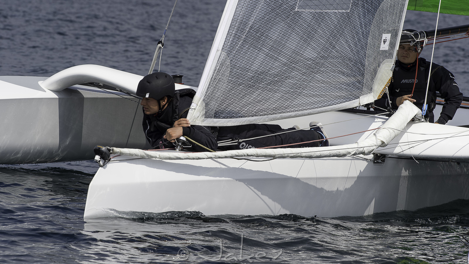 88-multyco-2016.jpg