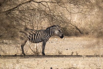 0262-tanzanie-2022.jpg